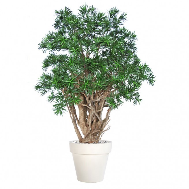 Planta semi-artificiala Ila, Podocarpus Robustina Green - 180 cm